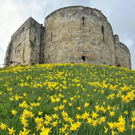 Románico de primavera 2026