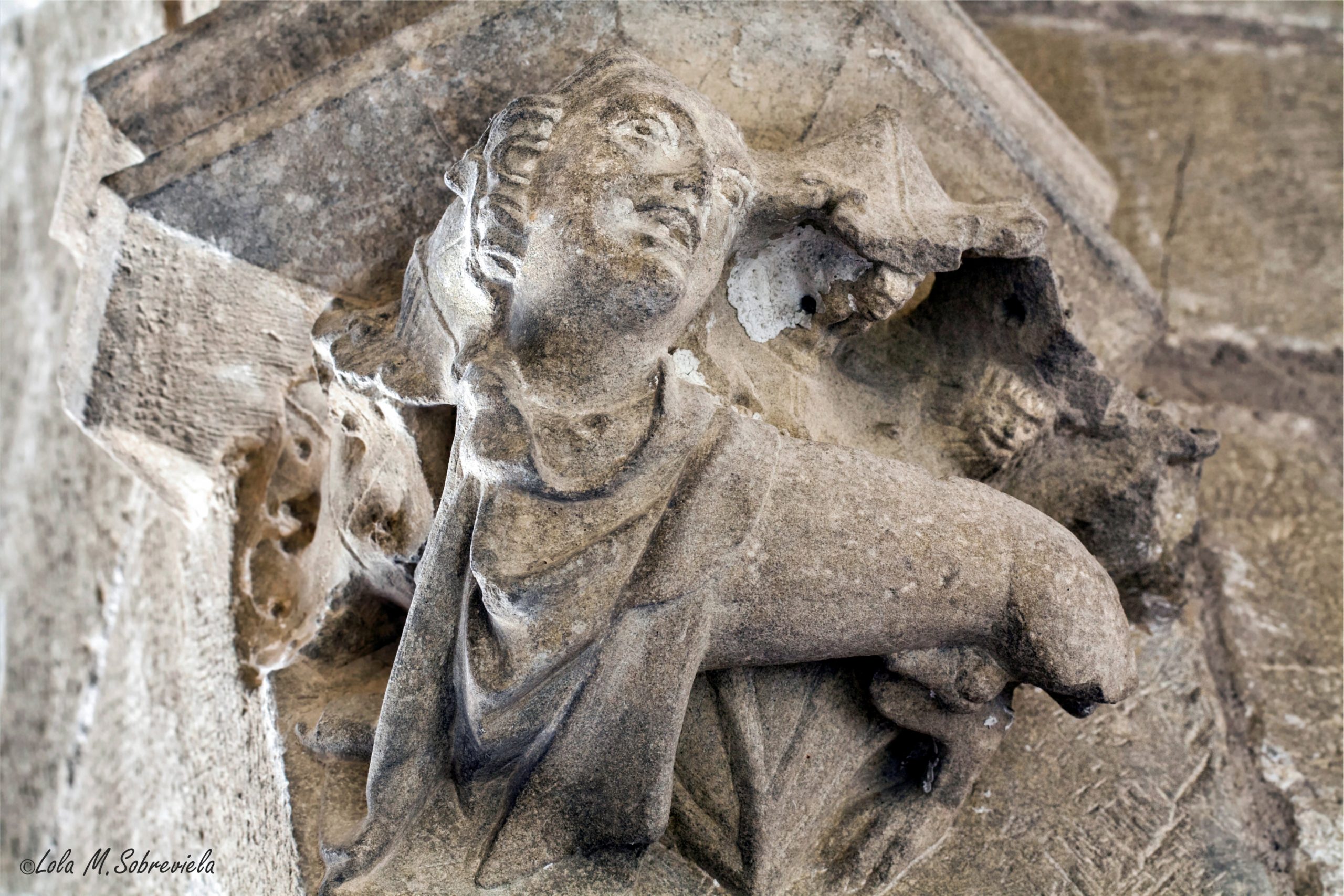 Ciclo Cultural: Dante visita Uxue. Leyendo la piedra en flor